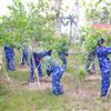 Cảnh sát biển Việt Nam sôi nổi hưởng ứng “Tết trồng cây đời đời nhớ ơn Bác Hồ”